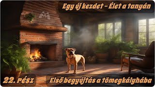 Egy új kezdet - Élet a tanyán - Első begyújtás a tömegkályhába |22. rész|