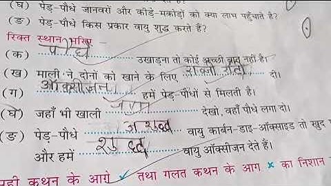 Classwork, Hindi, Class 4, Date 10/07/2025