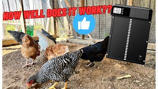 Testing The Cheapest Automatic Chicken Coop Door on Amazon!!