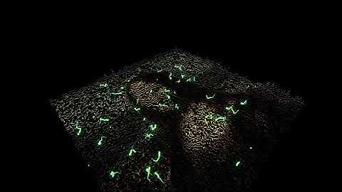 Generative Art with Swarm Landscapes - Experiment 6