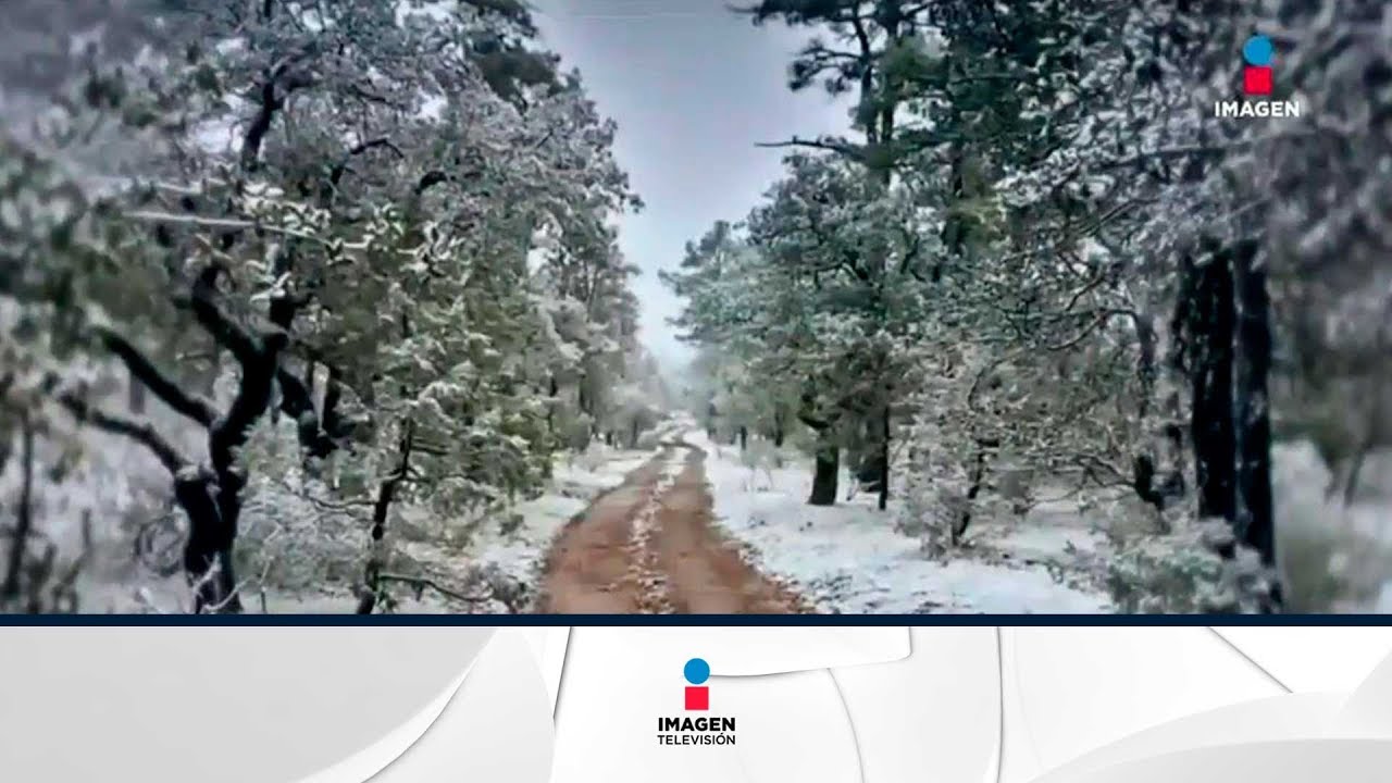¡Nieve en Mexico! Por fin empezó a nevar en este país Noticias con Ciro Gómez Leyva YouTube ¡Nieve en Mexico! Por fin empezó a nevar en este país Noticias con Ciro Gómez Leyva YouTube