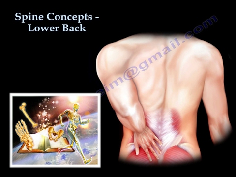 Low Back pain - Everything You Need To Know - Dr. Nabil Ebraheim