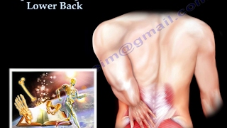 Low Back pain  Everything You Need To Know  Dr. Nabil Ebraheim