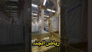ریاض الجنہ ??مسجد النبویﷺ || saudiarabia madina makkah  masjidalharam  trending