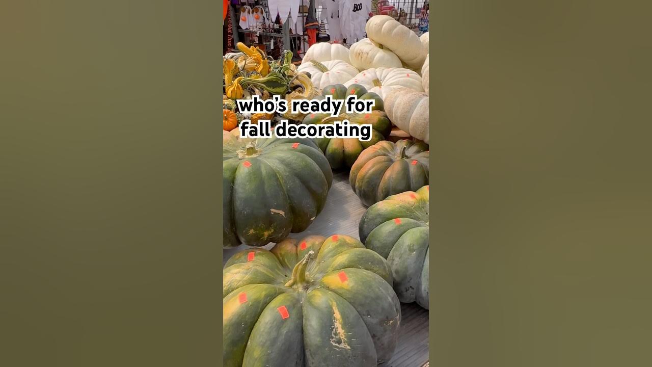 Fall Decor Front Porch Shopping 🍁🍂 YouTube