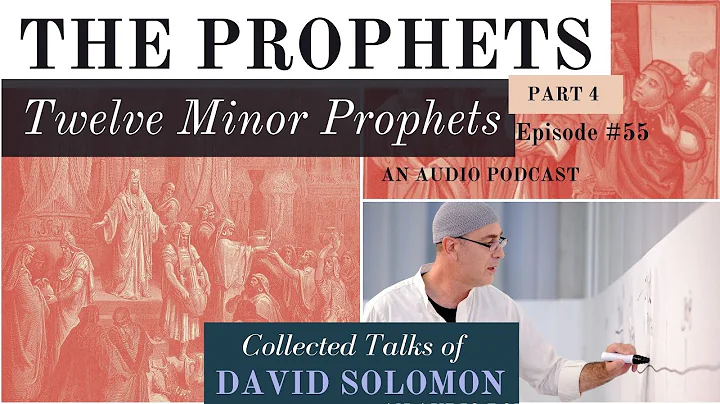The Prophets: the Twelve 'Minor' Prophets - Collected Talks of David Solomon #55 - DayDayNews
