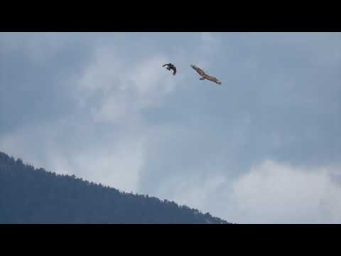 Armstrong X Apollo X NA A Happiness Prod NA A 