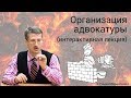 Организация адвокатуры (интерактивная лекция)