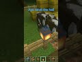ayo two cows are sus in #minecraft
