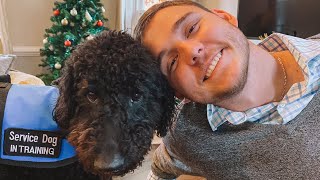 Introducing My Service Dog To The Family!