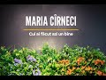 Maria Cirneci - Cui ai facut azi un bine | Official video
