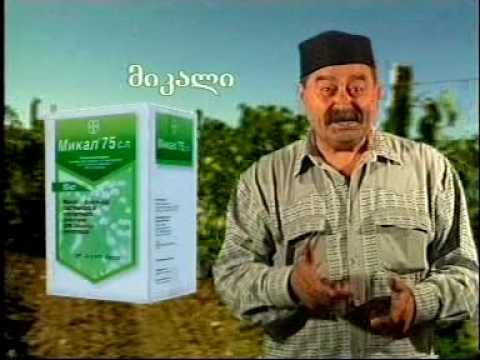 მიკალი და ანტრაკოლი მაგრა იცავ ჯო!