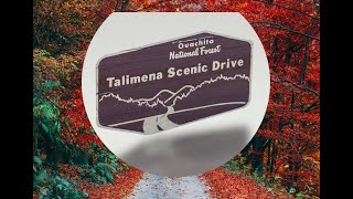 Talimena Drive, 2021 (Backup Camera)