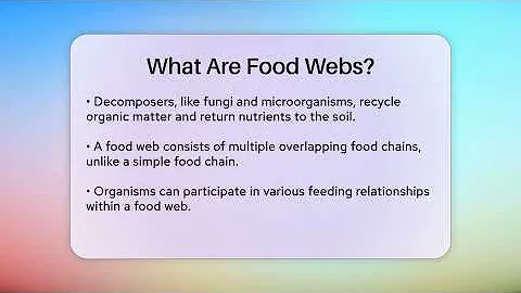 What Are Food Webs? - Ecosystem Essentials