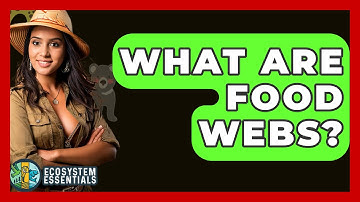 What Are Food Webs? - Ecosystem Essentials