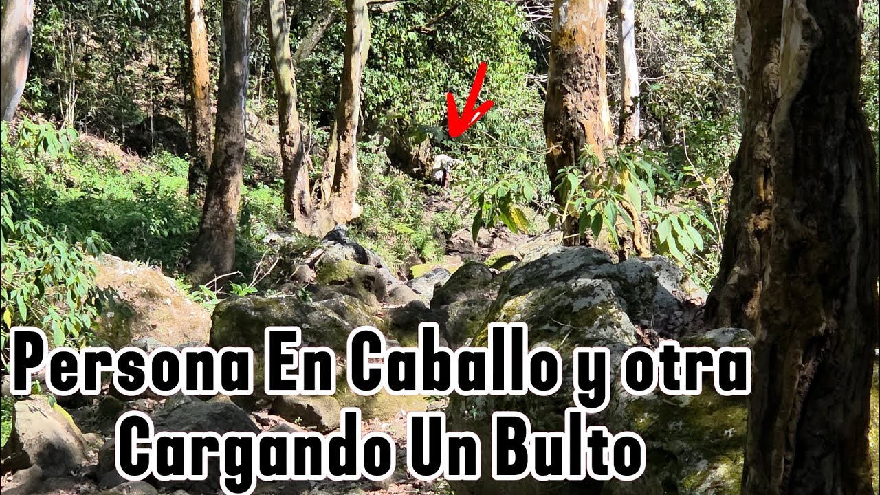 Sali Huyendo Del Lugar Me Asustaron Y Avia Personas Cargando Bultos 