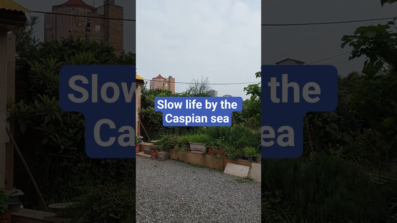 🌿 Peaceful Morning in Northern Iran | Caspian Coast Vibes 🌊