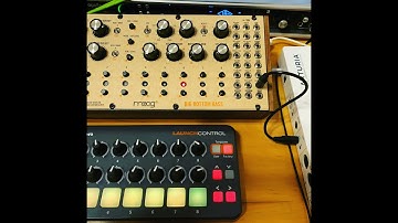 MOOG DFAM & Ableton Techno
