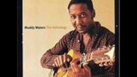 Muddy Waters - Stuff You Gotta Watch