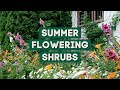 9 Best Flowering Shrubs for Summer! 🌿 // PlantDo Home &amp; Garden