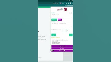 automate your messages with Wapi