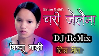 Chari Jelaima Bishnu Majhi Teej Song || Nepali dj Remix Song 2022 || Viral teej song 2078