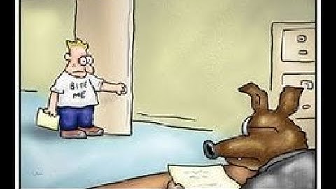 Stupid Interview Mistakes: Have You Seen My Resume? | JobSearchTV.com