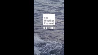 20 Years After Katrina: Resilience And Recovery