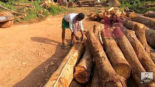 മരം അളന്നെടുക്കുമ്പോൾ ഇവ ശ്രദ്ധിക്കുക|How To Calculate Cubic Volume Of Wood|How ToMeasure Round Wood