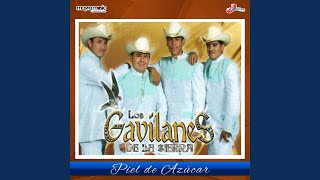 Video-Miniaturansicht von „Los Gavilanes De La Sierra - Piel de Azúcar“