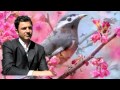 sepideh dam + Javqd Yassariسپیده دم + جواد یساری - YouTube