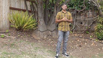 Reflections: "Safe and Sound" Acoustic Session