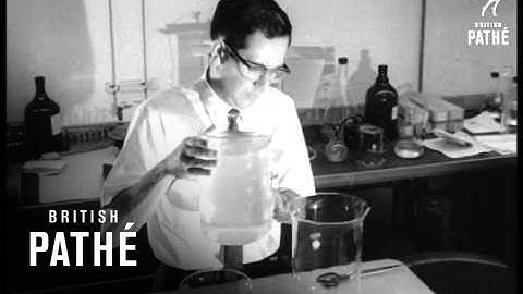 Elastic Water (1967)