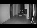 Roborock S7 Sensor Shot - Error 2 Dancing Queen