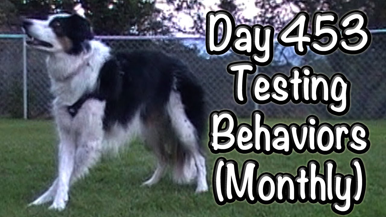 Day 453: Testing Behaviors (Monthly)