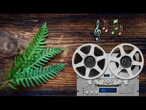 Video Chương trình Dạ Lan 1 - Như Một Nụ Hồng - youtube