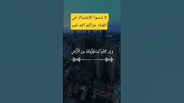 القران الكريم غذاء الروح#فارس_عباد