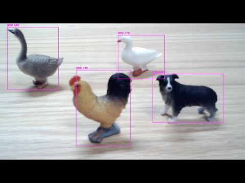 Object Detection