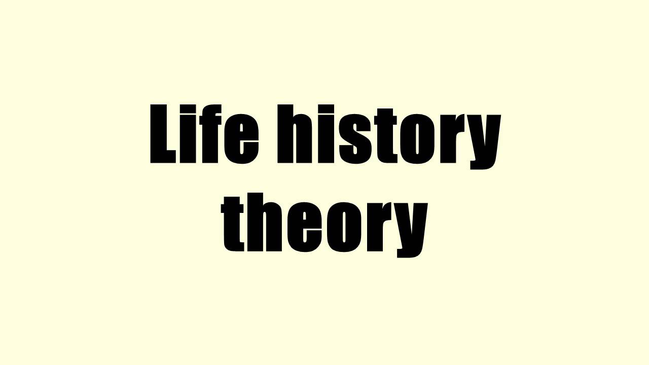 Life History Theory YouTube Life History Theory YouTube