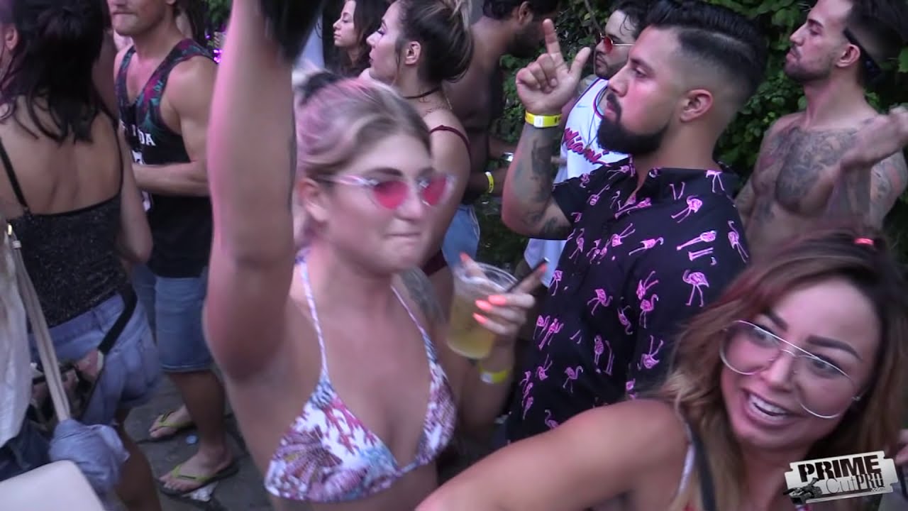stages of mitosis Mad Decent Diplo - Miami Beach