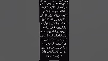 #سورة_المائدة #اكسبلور #قرآن #تيك_توك #لايك