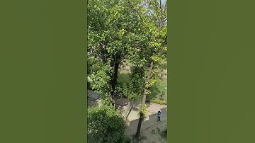 #akgec #akgecghaziabad #ghaziabad #delhi #engineeringcollege #engineeringlife