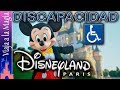 DISNEYLAND PARIS | Discapacidad/Minusvalia + Pase de prioridad atracciones, personajes...