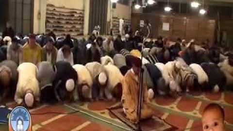 تلاوة خاشعة من صلاة العشاء بمسجد السلام في مدينة ريدجو إميليا ايطاليا للمقرئ العيون الكوشي 2016 1437