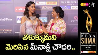 Celebrities at SIIMA Awards 2025