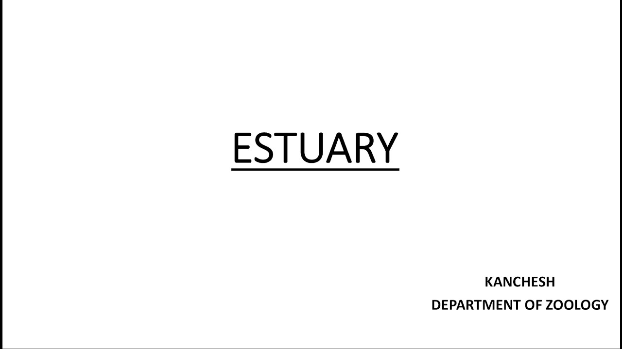 - Estuary, Its Type, Formation, Importance Dangers And Organisms