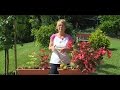 Egynyári növények teszt ültetése balkonládába 2. - Kertbarátok - Kertészeti TV - műsor
