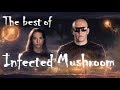 The Best of Infected Mushroom (1999 - 2017 Mix)