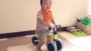 D-Bike mini に1歳3ヶ月の男児が乗る