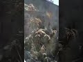 Live highlight